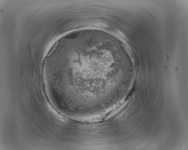 X0000068891532200605122021