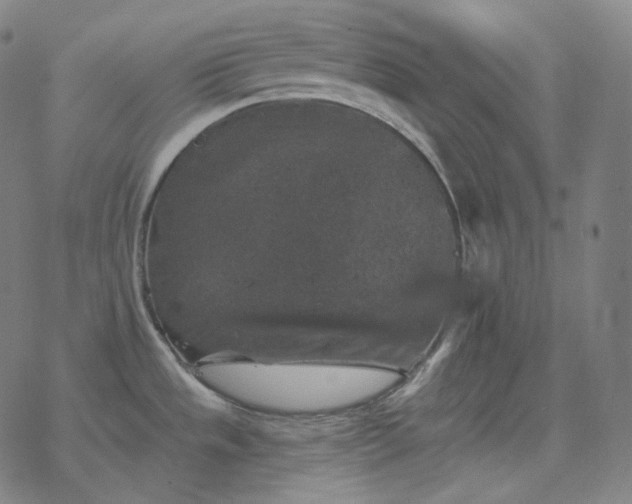 X0000068891533200605122021