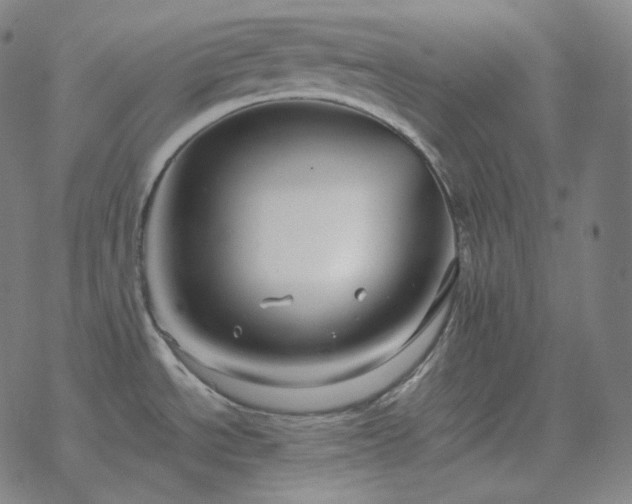 X0000068891534200605122021