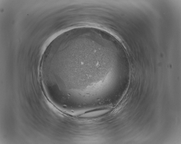 X0000068891535200605122021