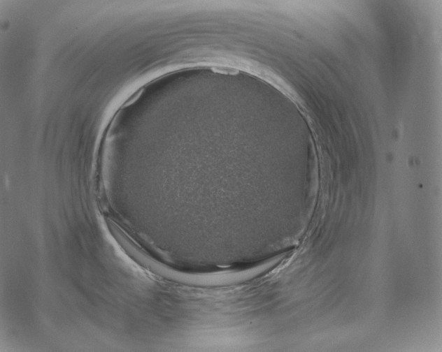 X0000068891536200605122021