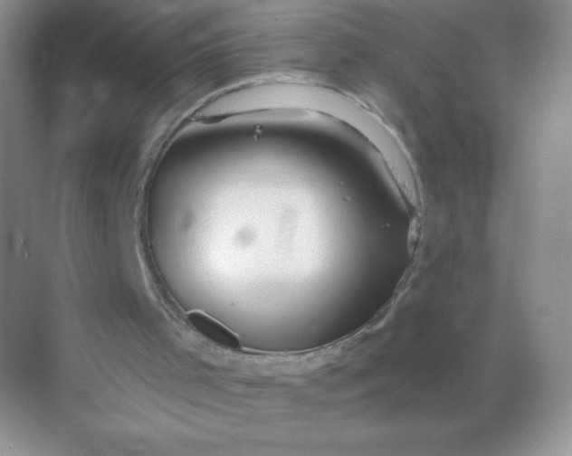 X0000068890001200605192147