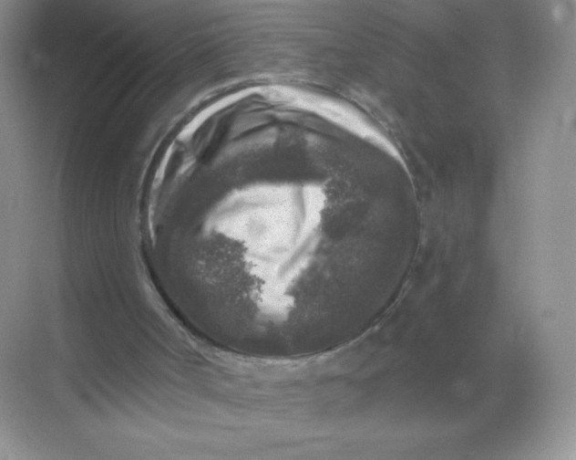 X0000068890002200605192147