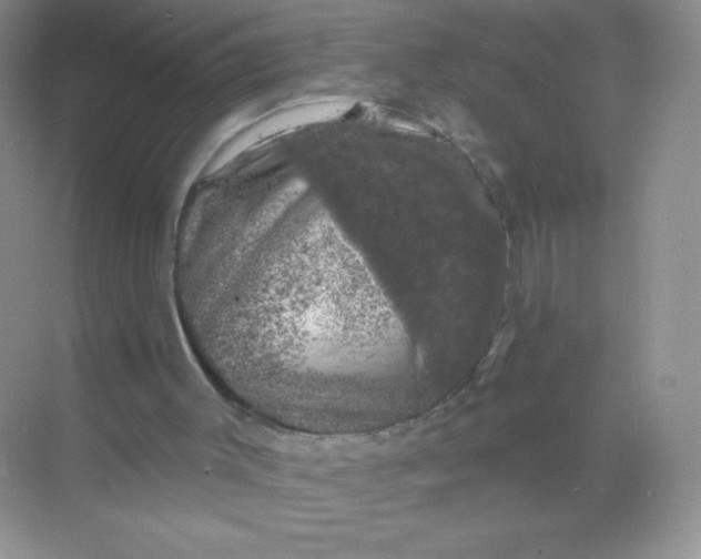 X0000068890003200605192147