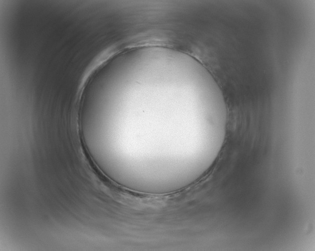 X0000068890004200605192147