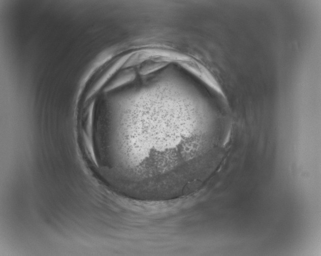 X0000068890006200605192147