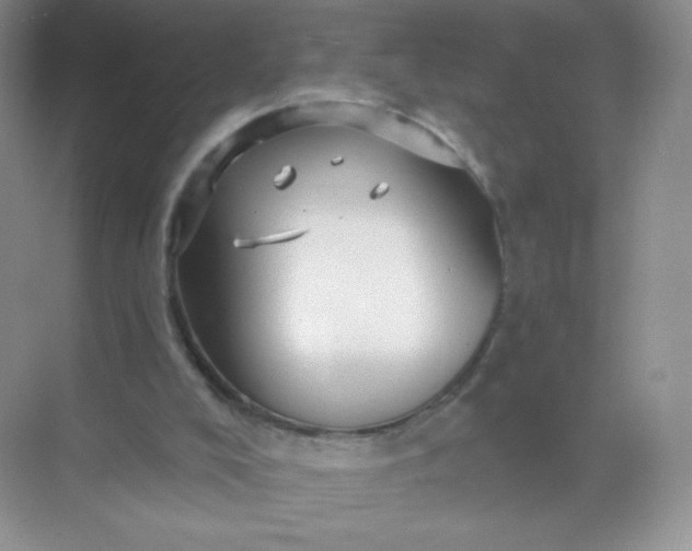 X0000068890008200605192147