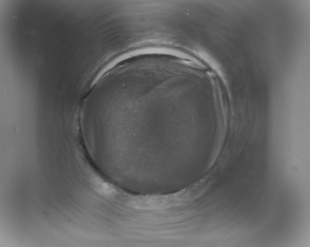 X0000068890009200605192147