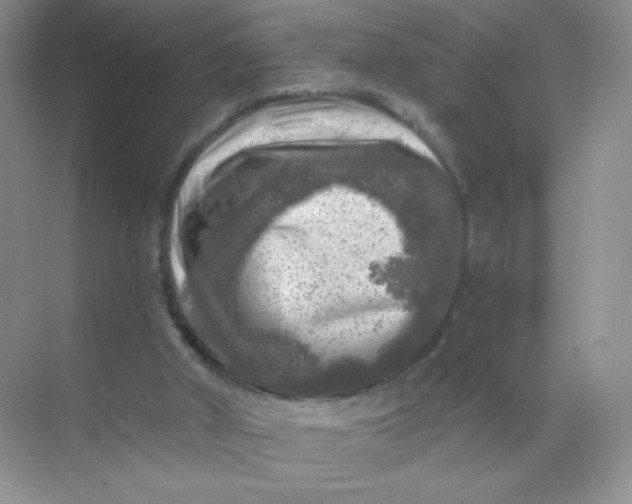 X0000068890010200605192147