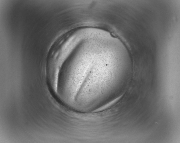 X0000068890011200605192147