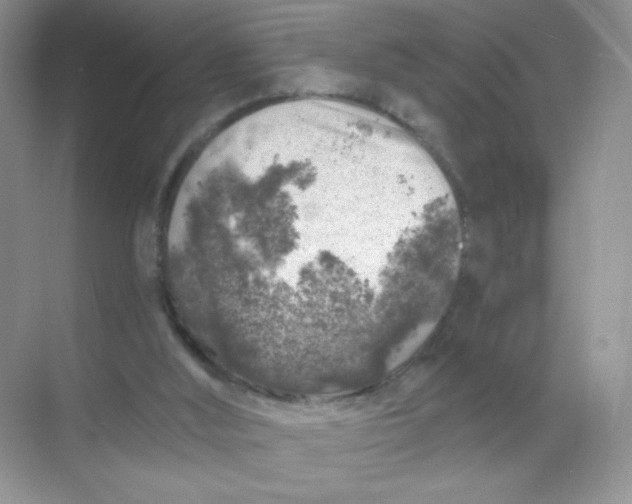 X0000068890012200605192147