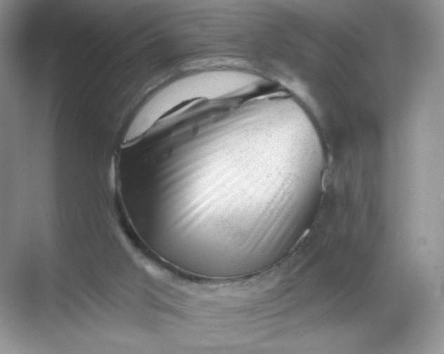 X0000068890013200605192147