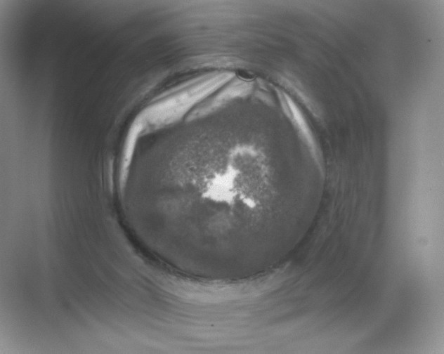 X0000068890014200605192147