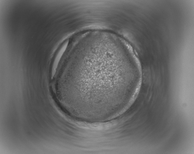 X0000068890015200605192147