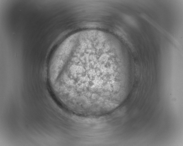 X0000068890016200605192147