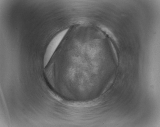 X0000068890017200605192147