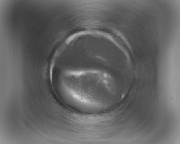 X0000068890018200605192147