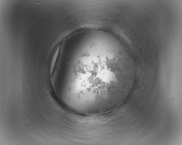 X0000068890020200605192147