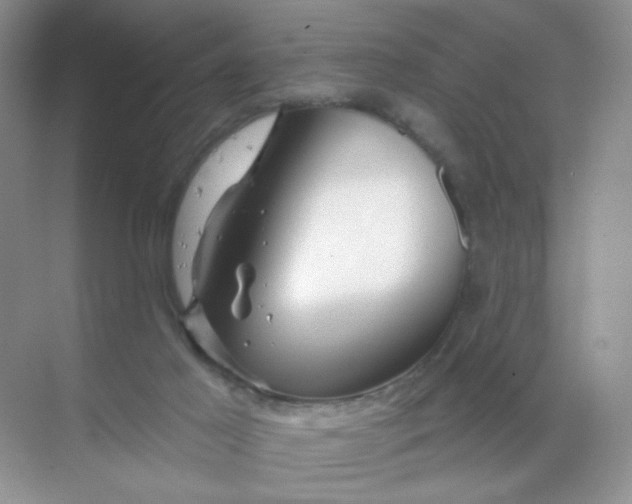 X0000068890021200605192147