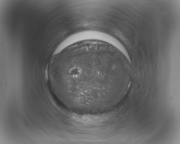 X0000068890022200605192147