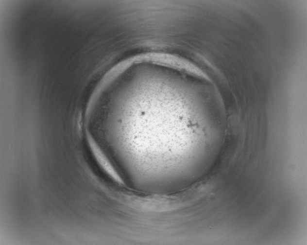 X0000068890024200605192146