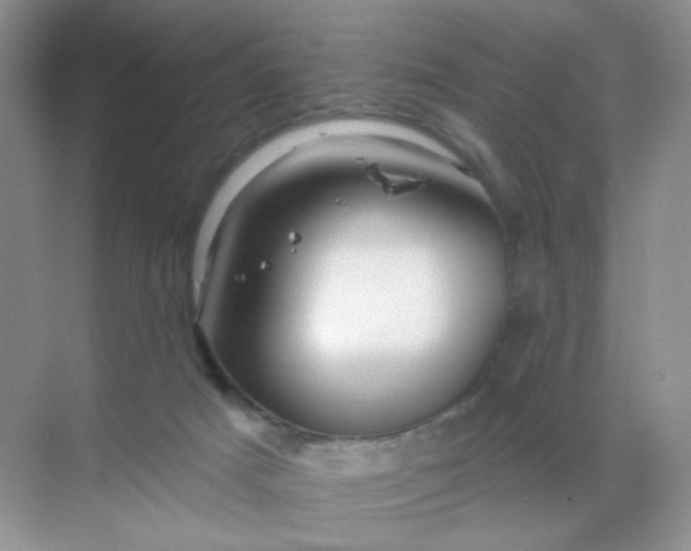 X0000068890025200605192146