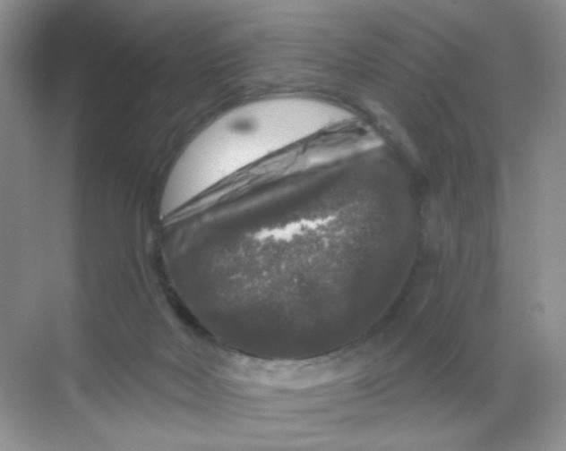 X0000068890026200605192146