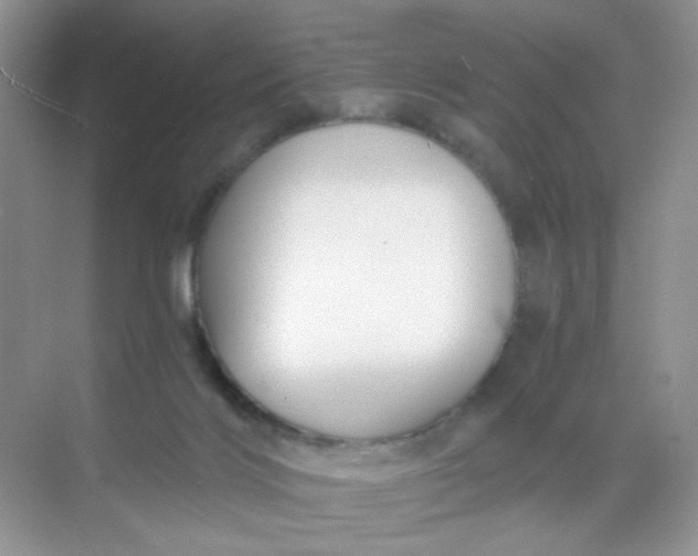 X0000068890028200605192146