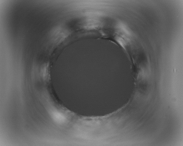 X0000068890029200605192146