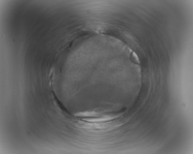 X0000068890030200605192146