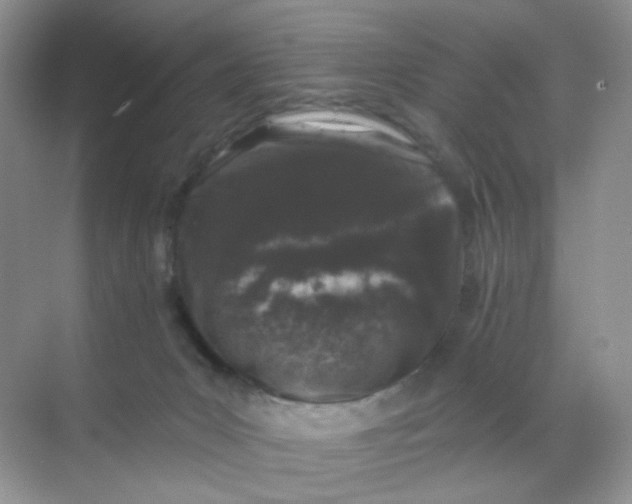 X0000068890031200605192146