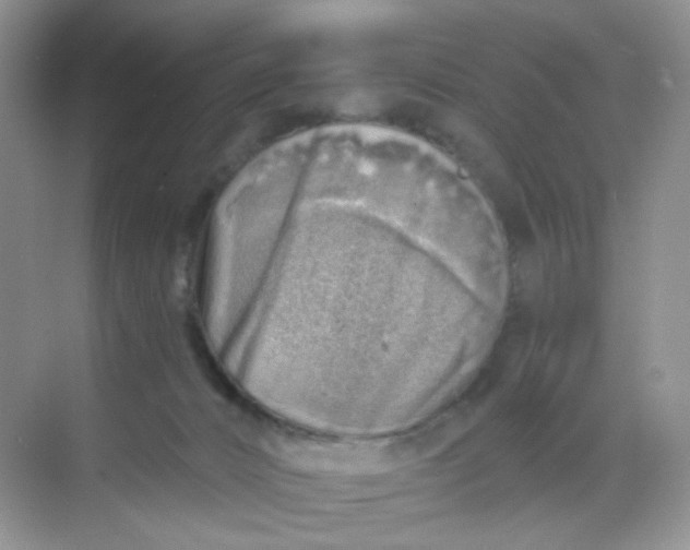 X0000068890032200605192146