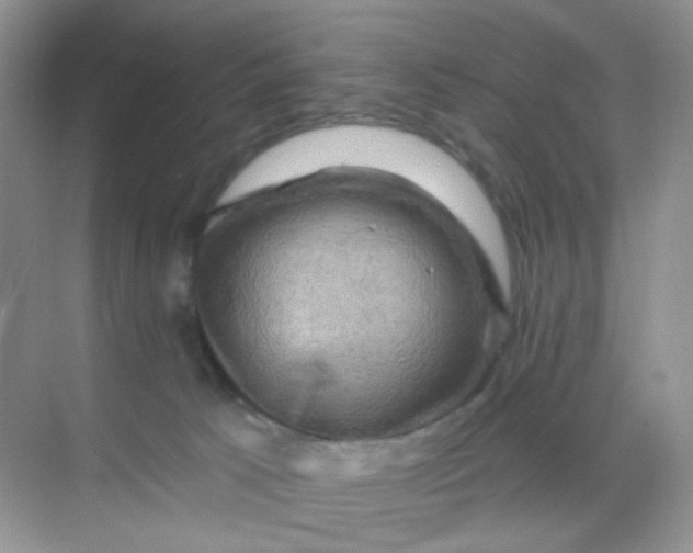 X0000068890033200605192146