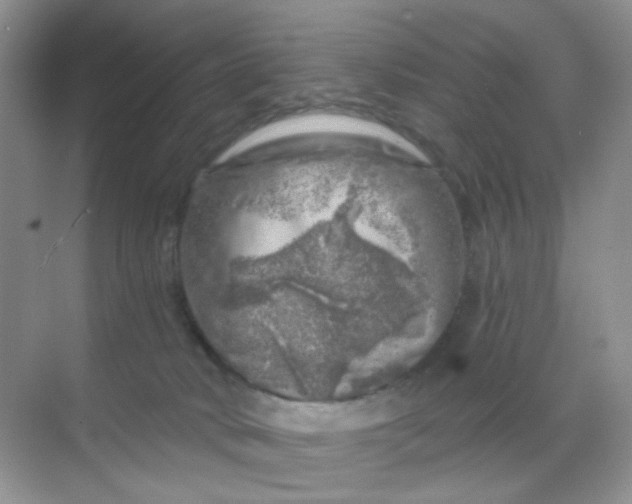 X0000068890034200605192146