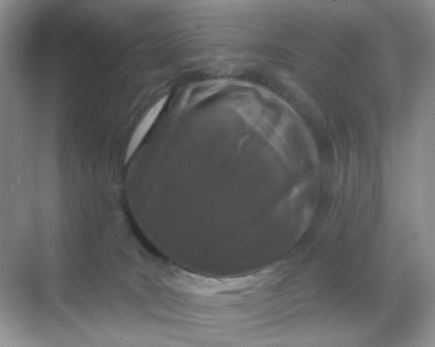 X0000068890035200605192146