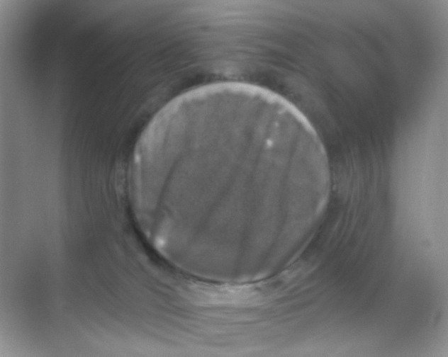 X0000068890036200605192146