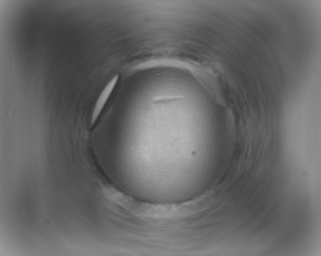 X0000068890037200605192146