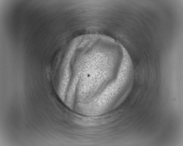 X0000068890038200605192146