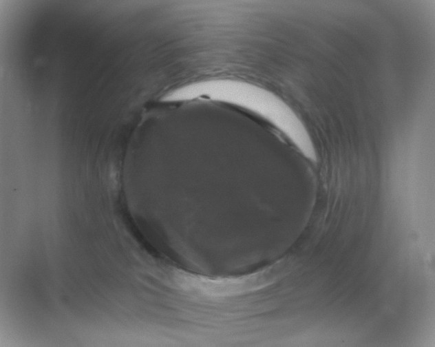 X0000068890039200605192146