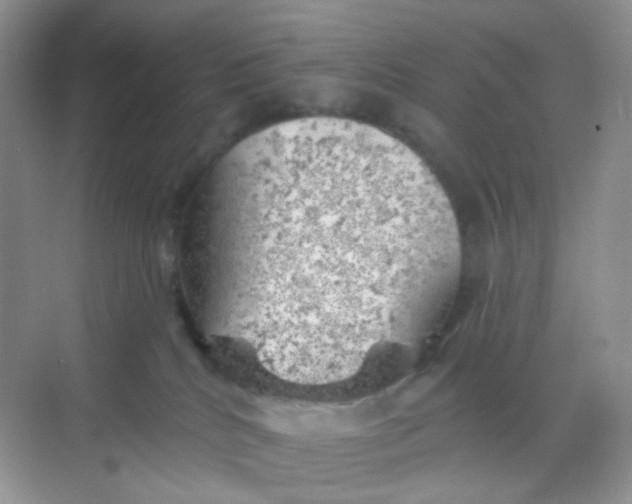 X0000068890040200605192146