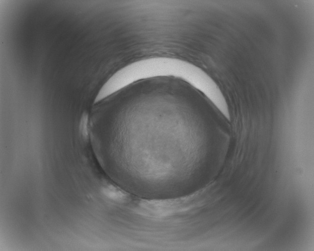 X0000068890041200605192146