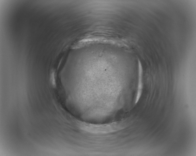 X0000068890042200605192146