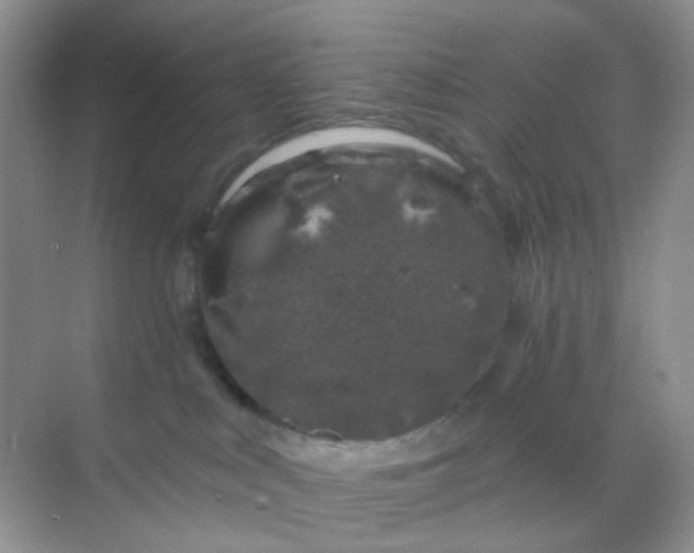 X0000068890043200605192146