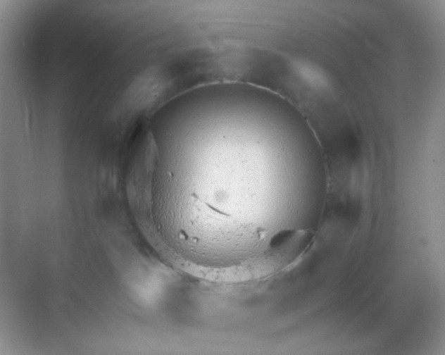 X0000068890045200605192146