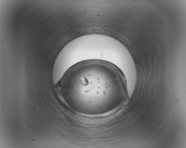 X0000068890047200605192146