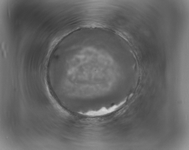 X0000068890049200605192145