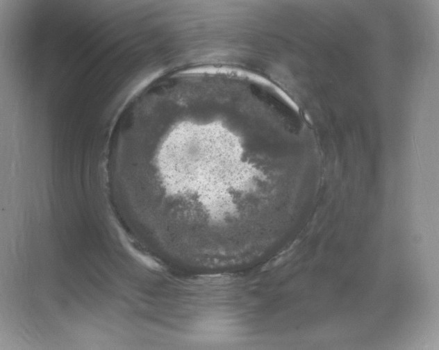 X0000068890050200605192145