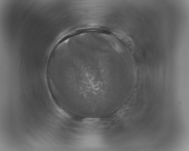 X0000068890051200605192145