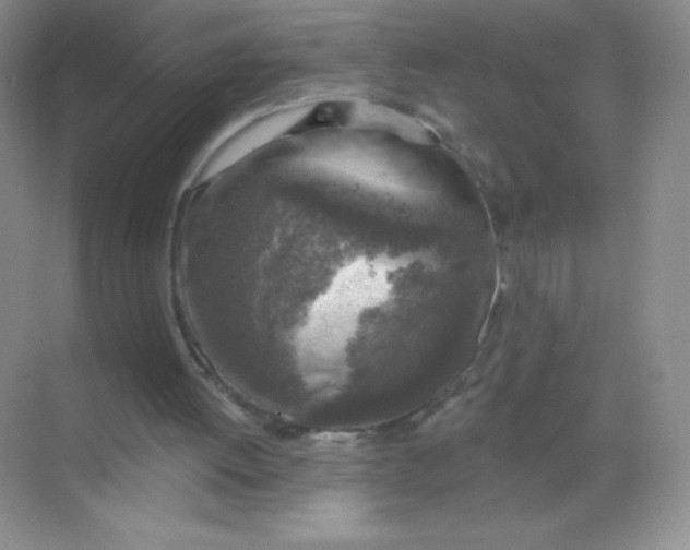 X0000068890052200605192145