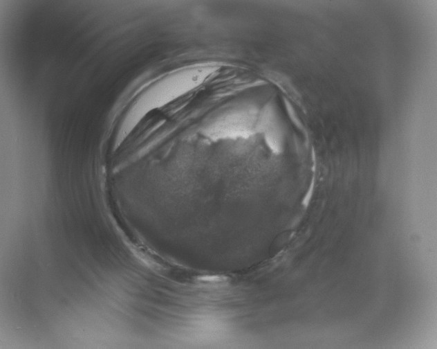 X0000068890053200605192145